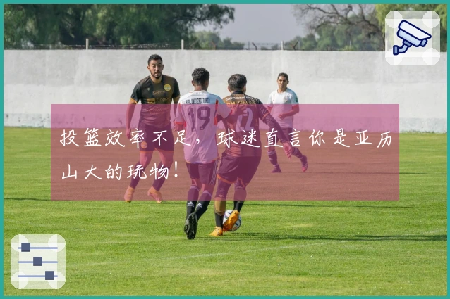 投篮效率不足，球迷直言你是亚历山大的玩物！