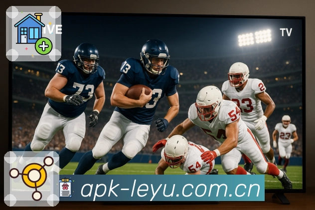 安全使用指引流程